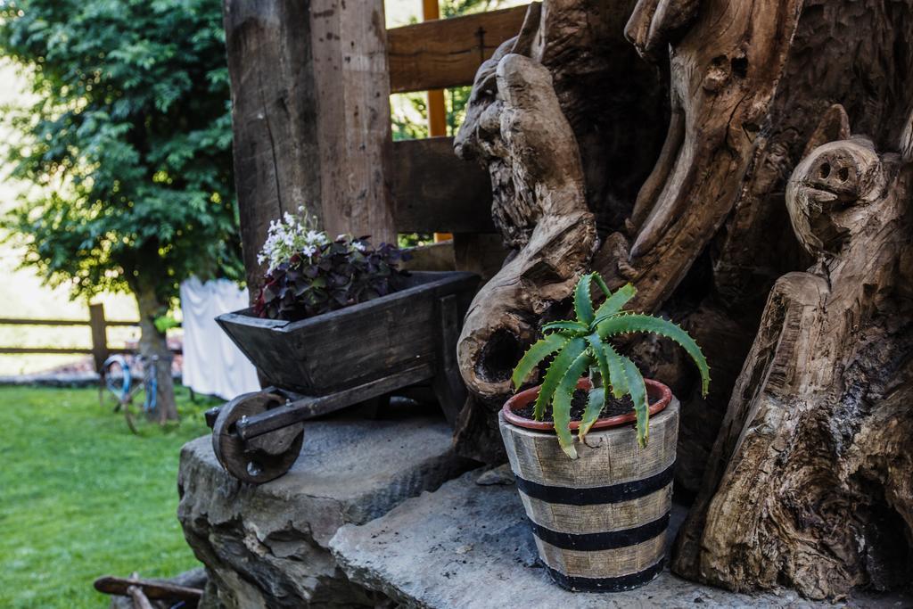 La Posada De Cucayo Dobres Zewnętrze zdjęcie