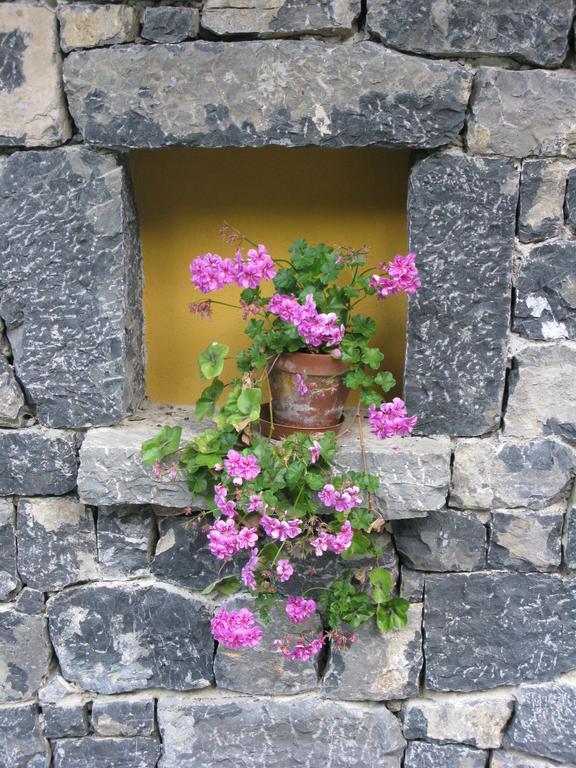 La Posada De Cucayo Dobres Zewnętrze zdjęcie